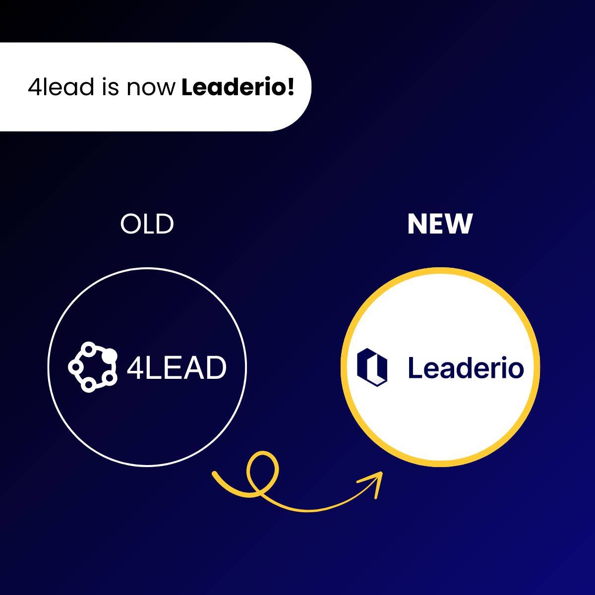 the 4lead team